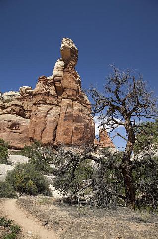 246 Canyonlands National Park, Chesler Park.jpg